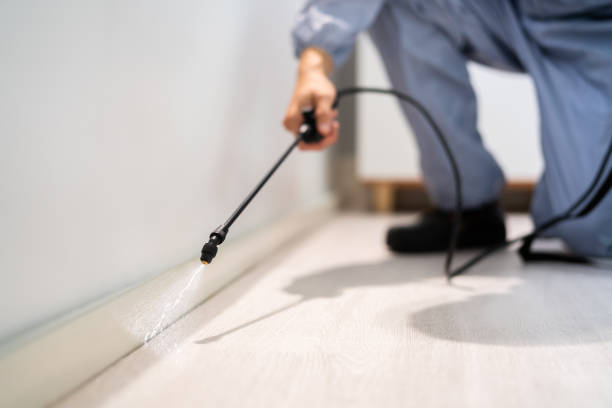 Certified termite inspector examining foundation in Beverly