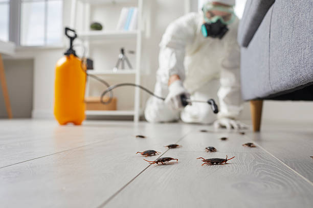 Commercial Kitchen Cockroach Control in Beverly